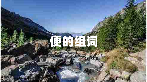 便的組詞
