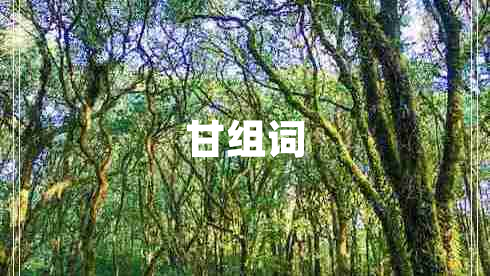 甘組詞