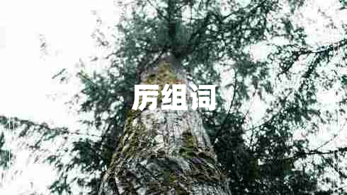 厲組詞