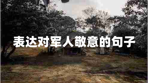 表達對軍人敬意的句子
