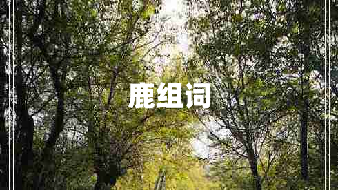 鹿組詞