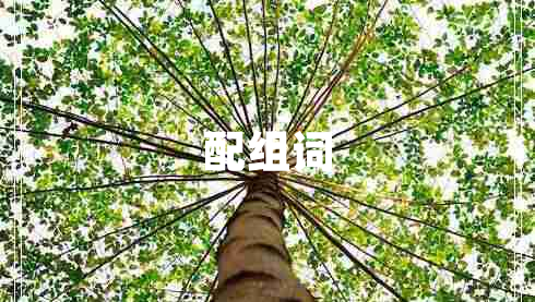 配組詞