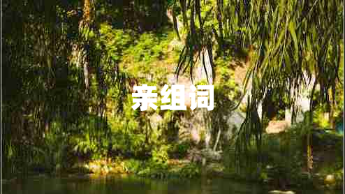 親組詞