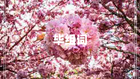 畢組詞