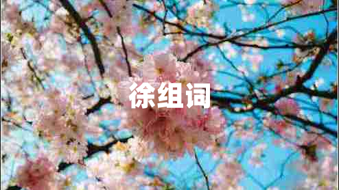 徐組詞