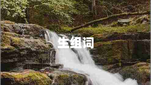 生組詞
