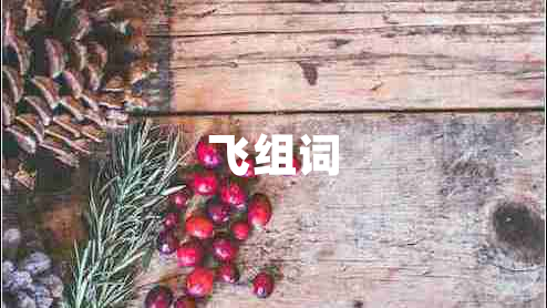飛組詞
