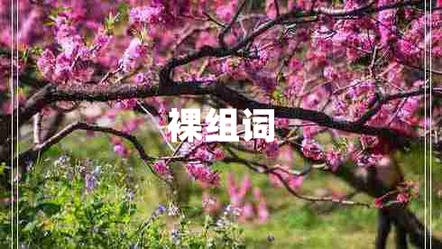 裸組詞