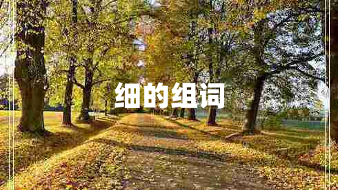 細(xì)的組詞