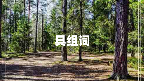 具組詞