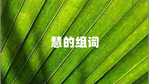 慧的組詞