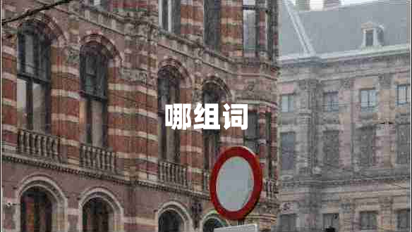 哪組詞