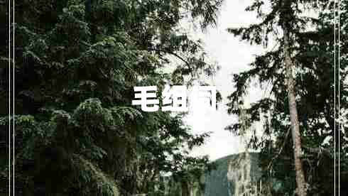 毛組詞