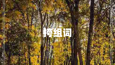 挎組詞