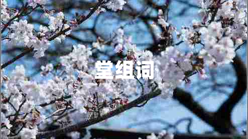 堂組詞