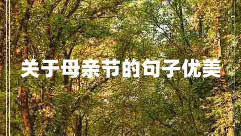 關于母親節(jié)的句子優(yōu)美