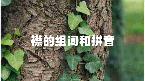 襟的組詞和拼音