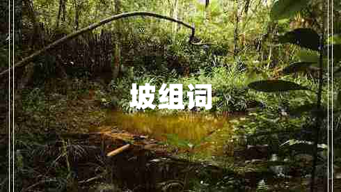 坡組詞