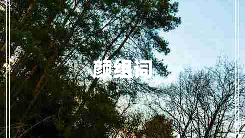 顏組詞