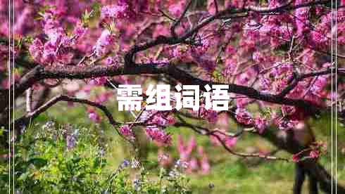 需組詞語