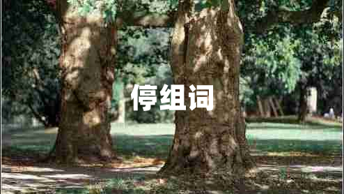 停組詞