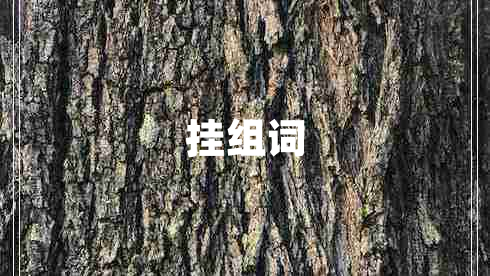 掛組詞