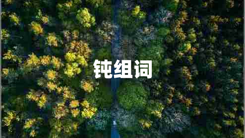 鈍組詞