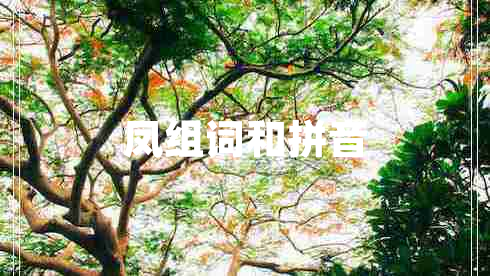 鳳組詞和拼音