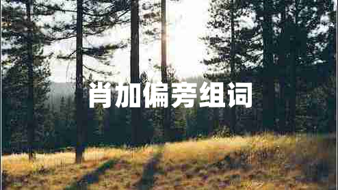 肖加偏旁組詞