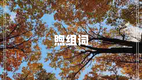 煦組詞