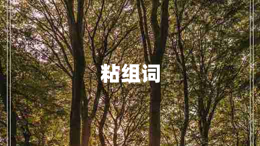 粘組詞