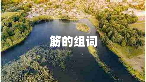 筋的組詞