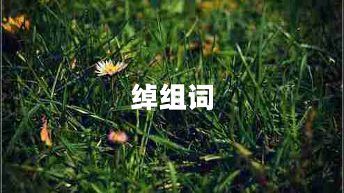 綽組詞