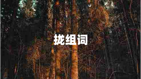攏組詞