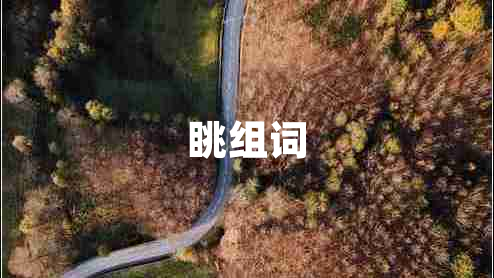 眺組詞