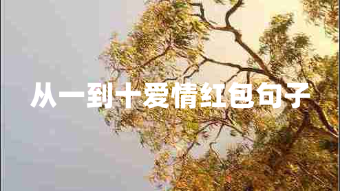從一到十愛(ài)情紅包句子
