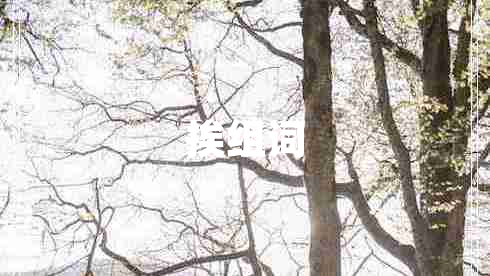 挨組詞