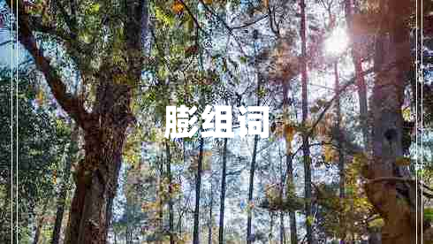 膨組詞