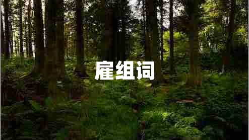 雇組詞