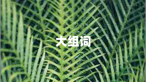 大組詞