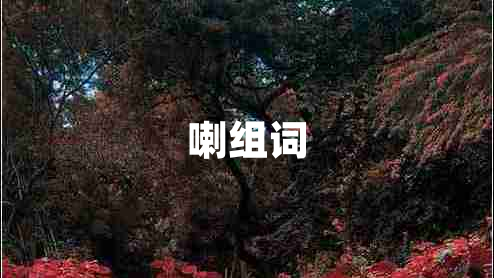 喇組詞