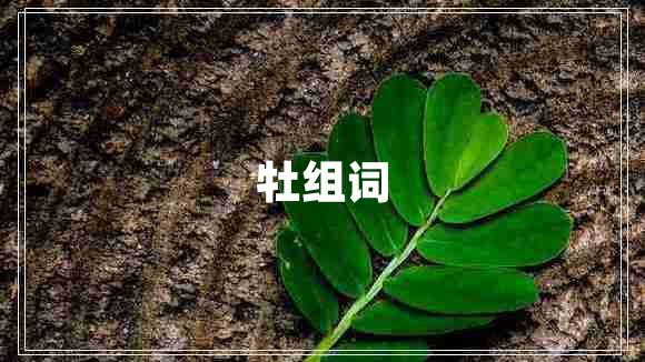 牡組詞