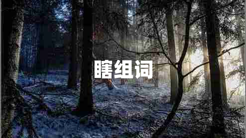 瞎組詞