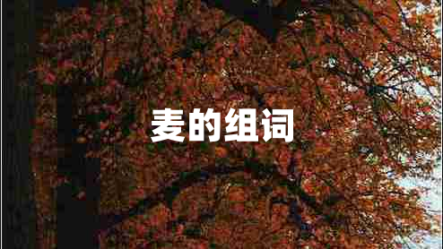 麥的組詞