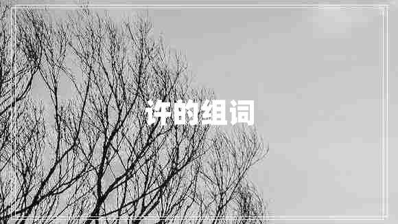 許的組詞