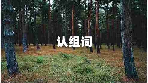 認組詞