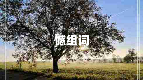 憾組詞