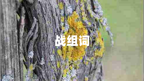 戰組詞