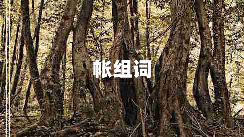 帳組詞