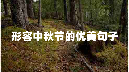 形容中秋節的優(yōu)美句子